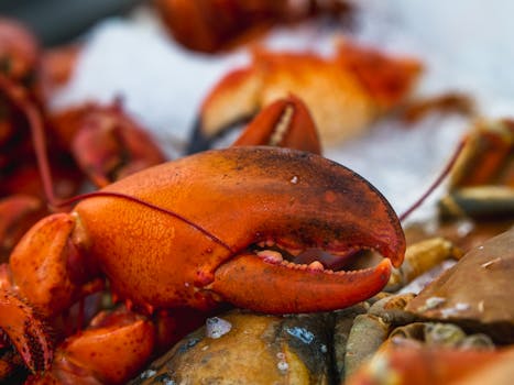 sustainable seafood platter